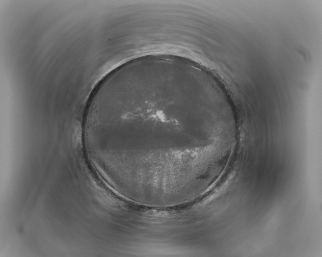 X0000112821505200909041504