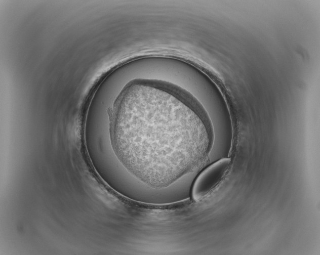 X0000112821506200909041504