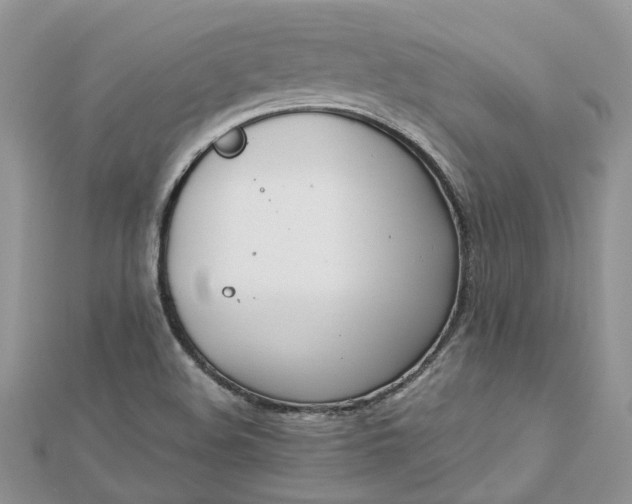 X0000112821508200909041504