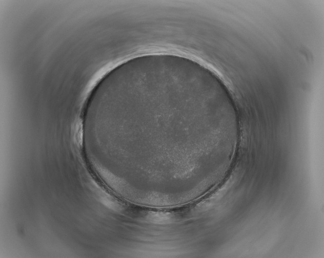 X0000112821509200909041504