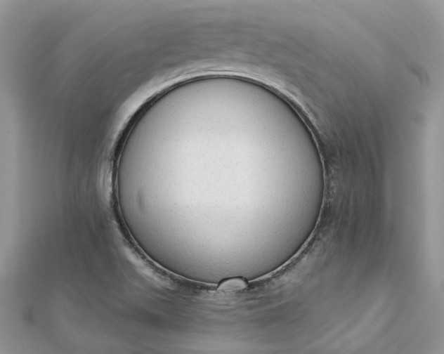 X0000112821511200909041504