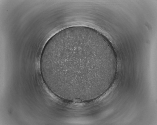 X0000112821513200909041504