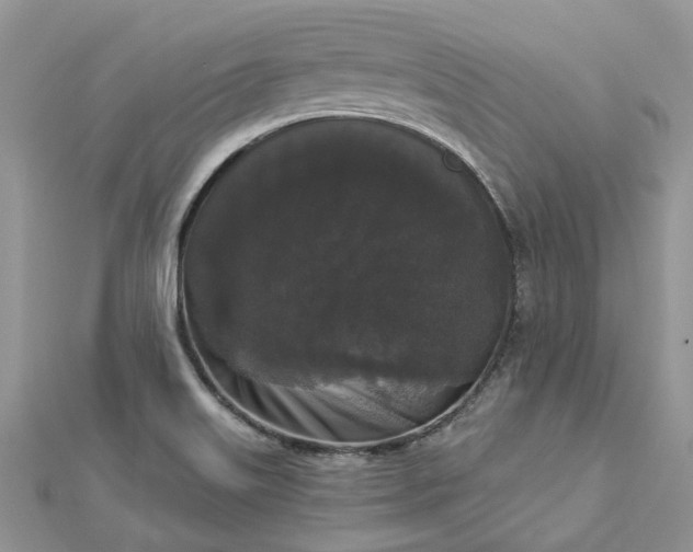 X0000112821515200909041504