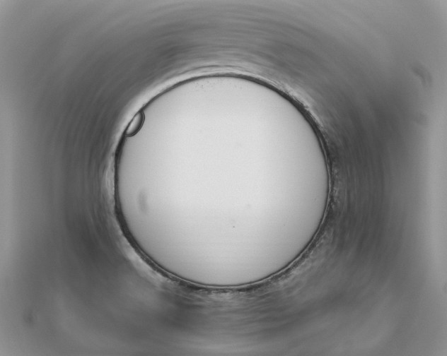 X0000112821516200909041504