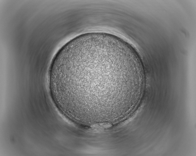 X0000112821517200909041504