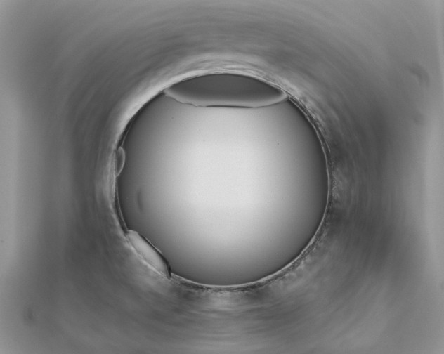 X0000112821520200909041504