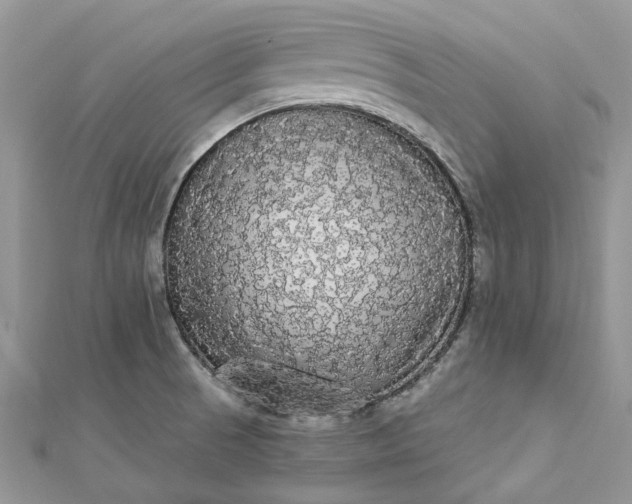 X0000112821521200909041504