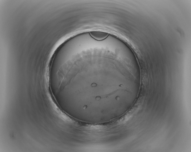 X0000112821522200909041504