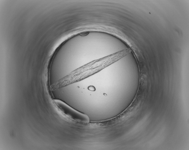 X0000112821523200909041504