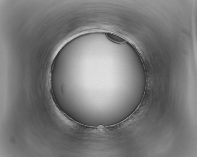 X0000112821524200909041504