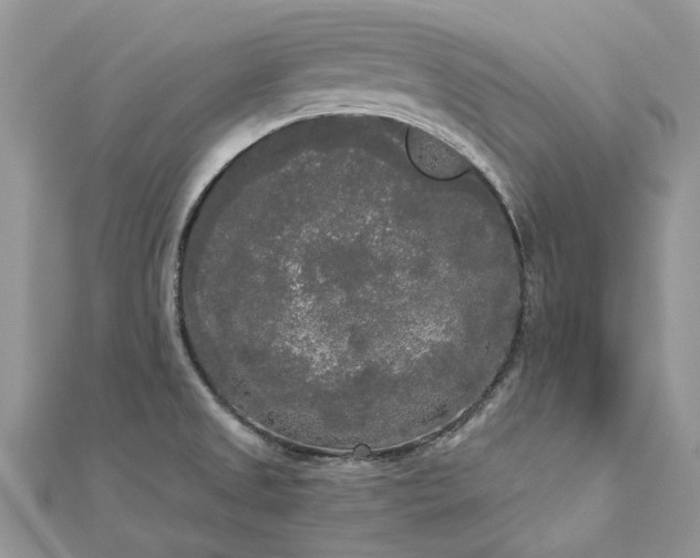 X0000112821525200909041504