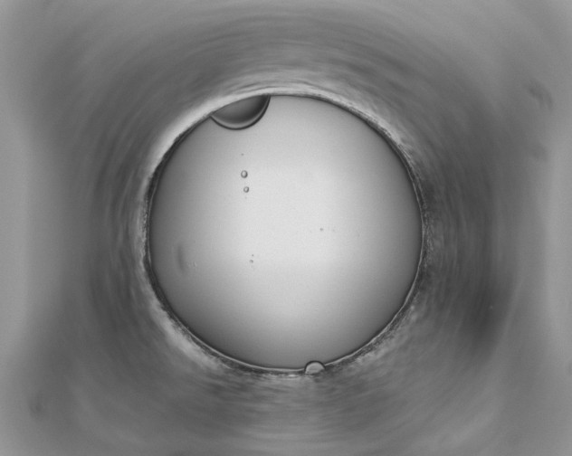 X0000112821526200909041504