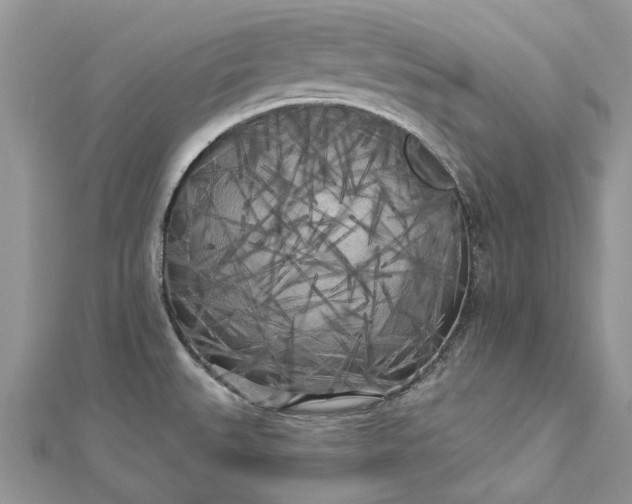 X0000112821527200909041504