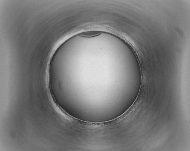 X0000112821528200909041504