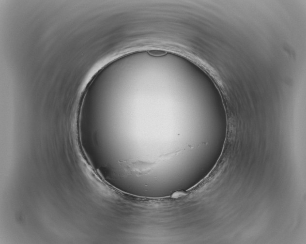 X0000112821530200909041504