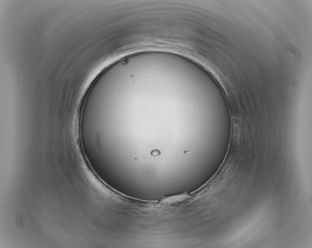 X0000112821531200909041504