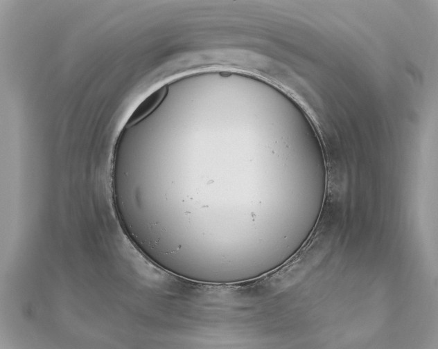 X0000112821532200909041504