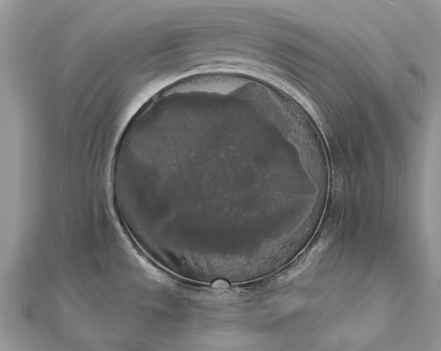 X0000112821533200909041504