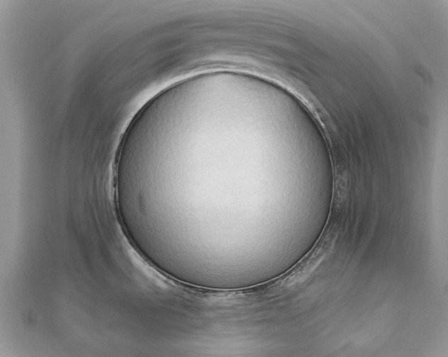 X0000112821535200909041504