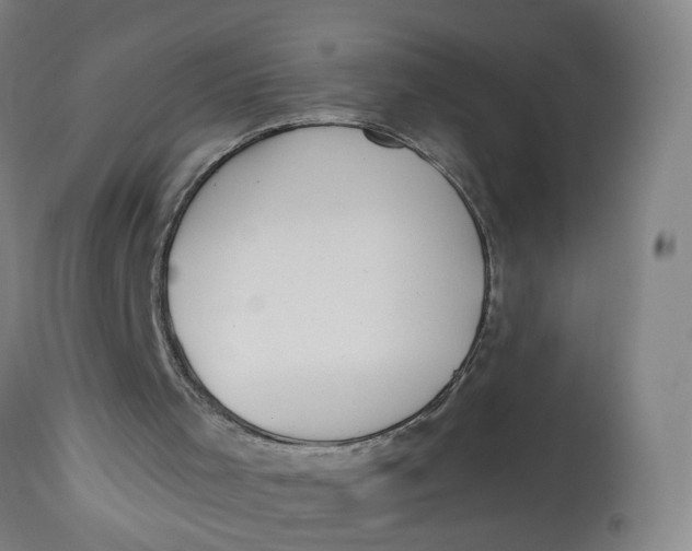 X0000112820001200909111334