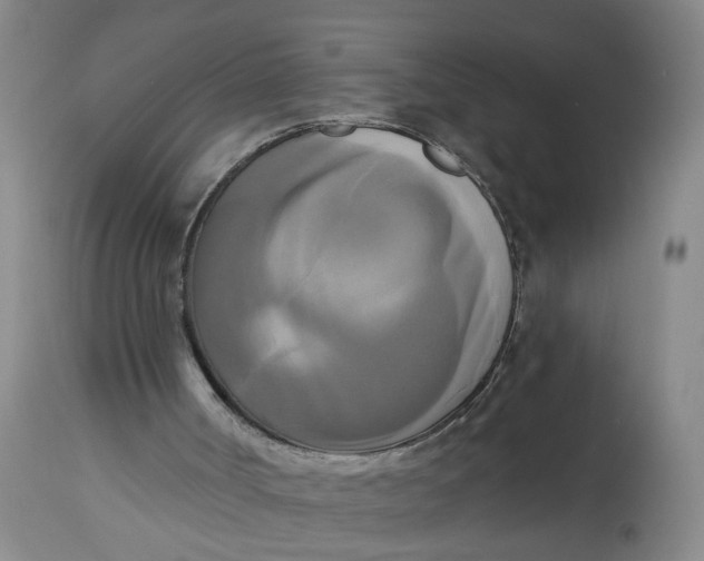 X0000112820002200909111334