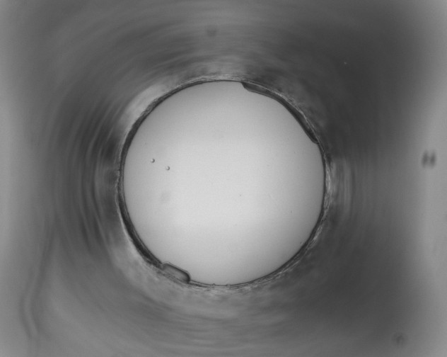 X0000112820003200909111334