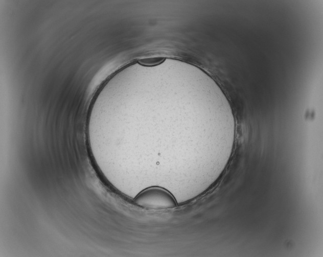 X0000112820004200909111334