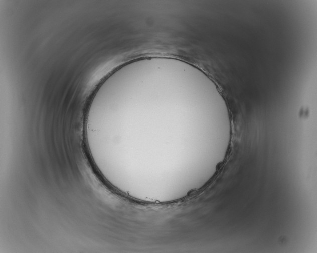 X0000112820005200909111334