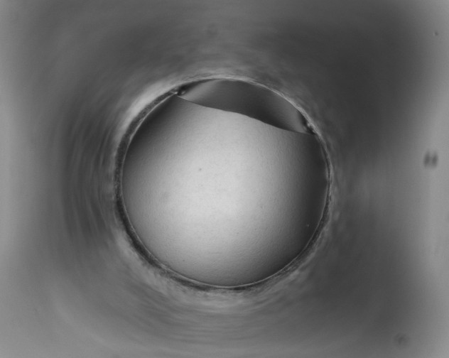 X0000112820008200909111333