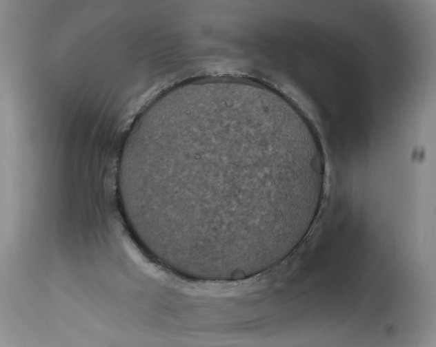 X0000112820009200909111333