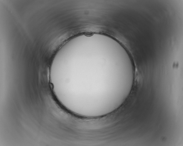 X0000112820013200909111333