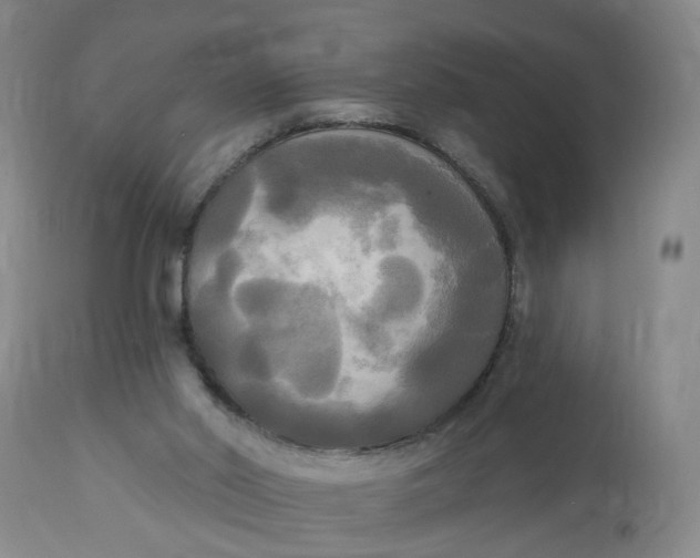 X0000112820014200909111333