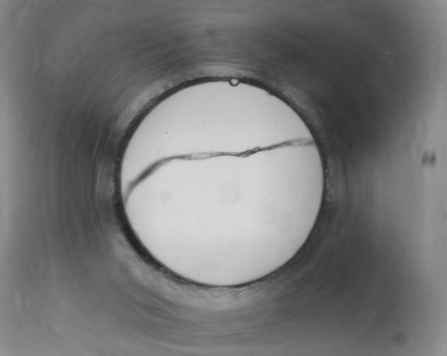 X0000112820015200909111333