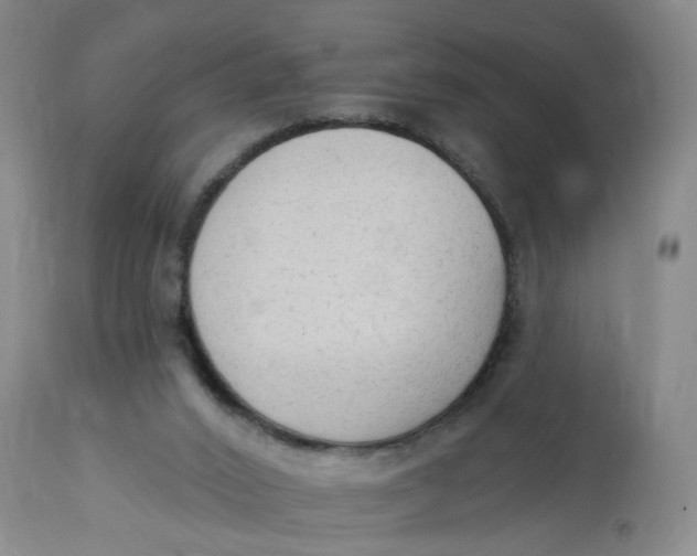 X0000112820016200909111333