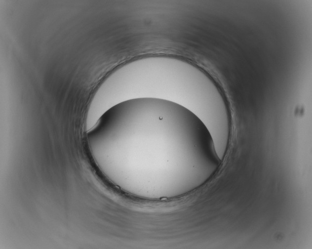 X0000112820017200909111333