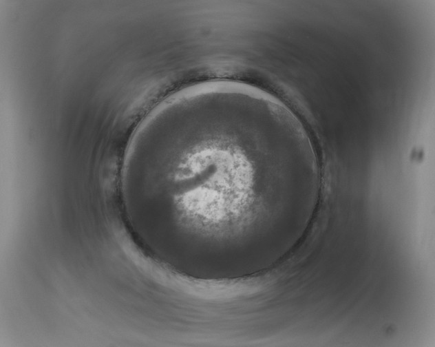 X0000112820018200909111333