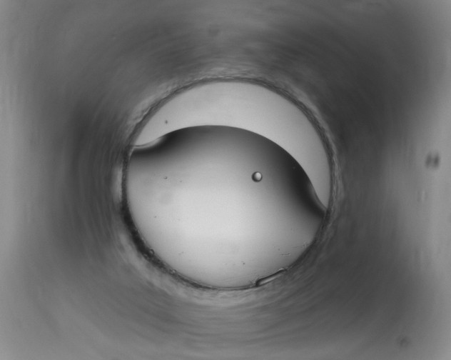 X0000112820019200909111333