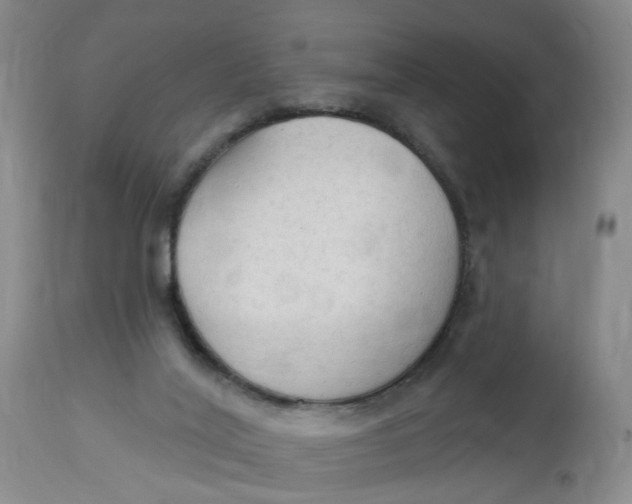 X0000112820020200909111333