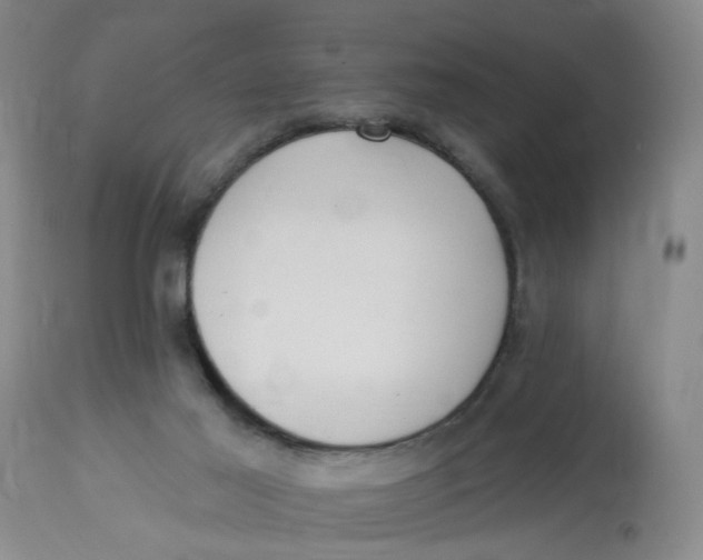 X0000112820021200909111333