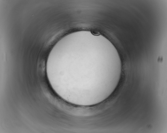 X0000112820024200909111333