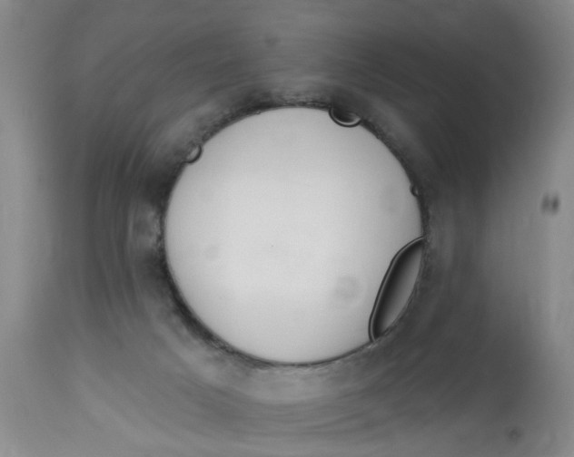 X0000112820025200909111333