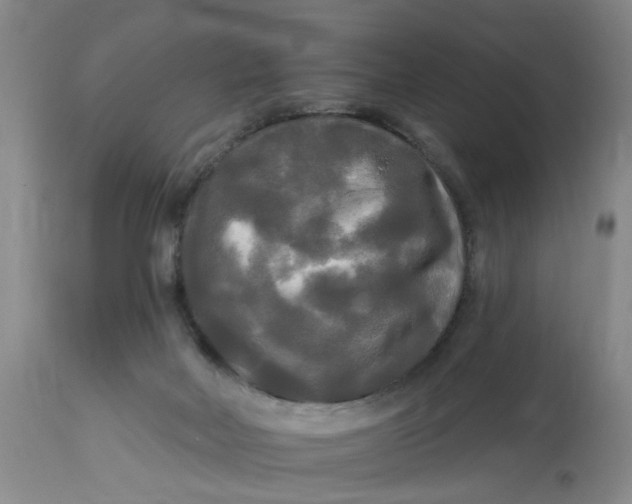 X0000112820026200909111333