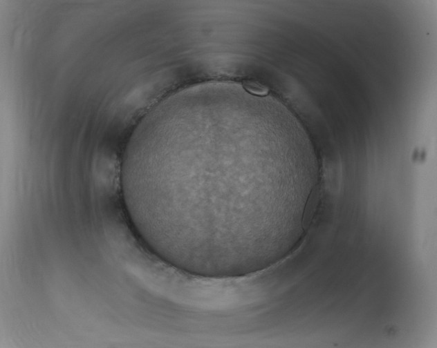 X0000112820029200909111333