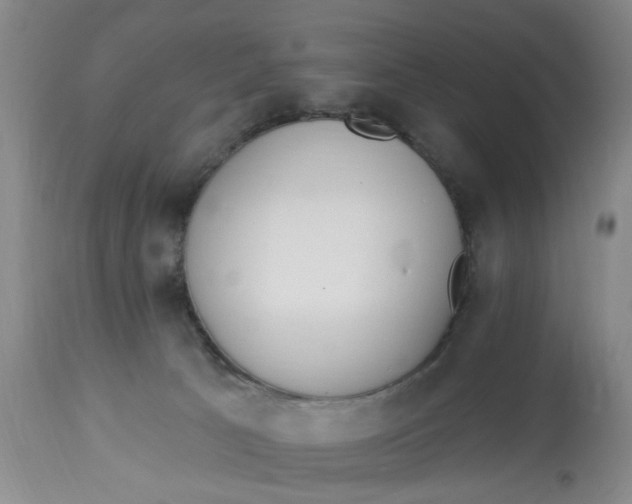 X0000112820033200909111333