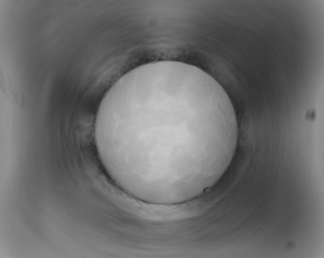 X0000112820034200909111333