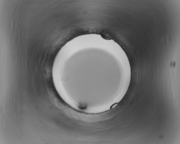 X0000112820039200909111333