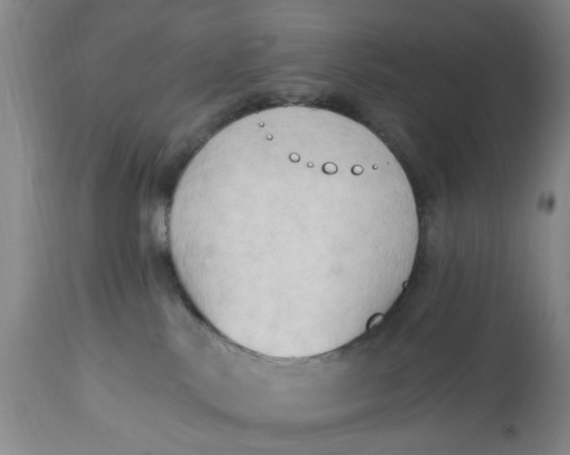 X0000112820042200909111333