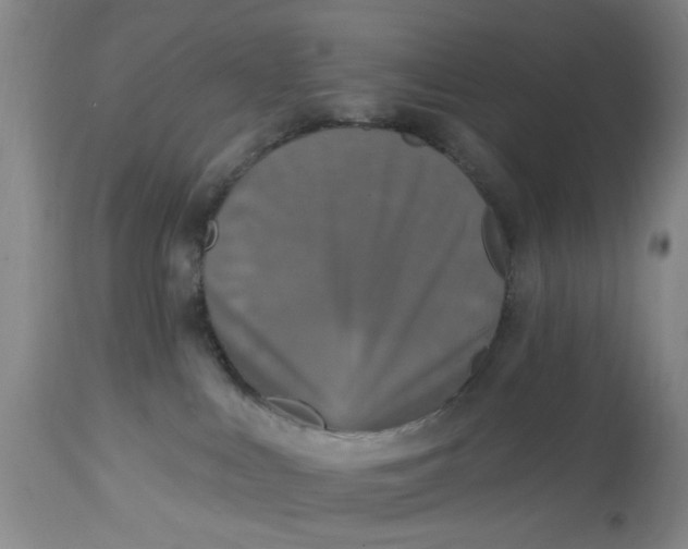 X0000112820043200909111333