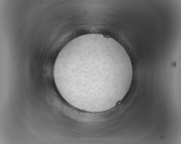 X0000112820044200909111333