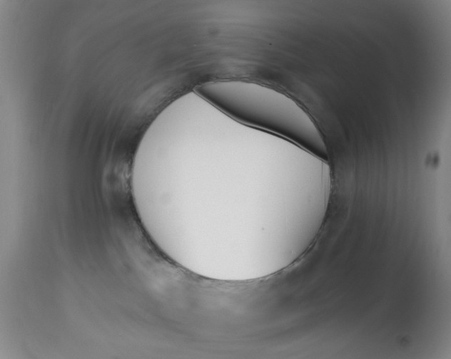 X0000112820045200909111333